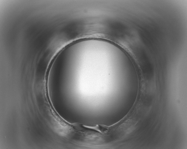 X0000080141332200612081246