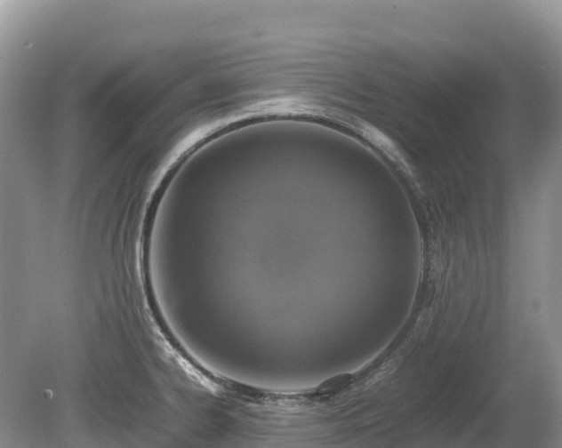X0000080141334200612081246