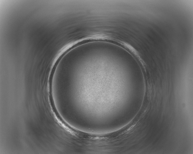 X0000080141335200612081246