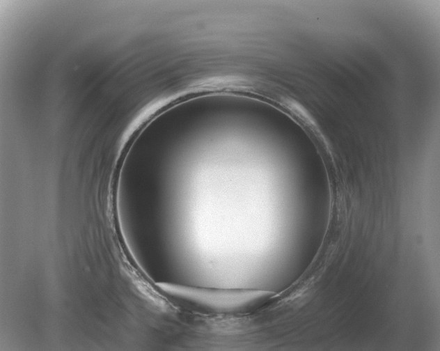 X0000080141336200612081246