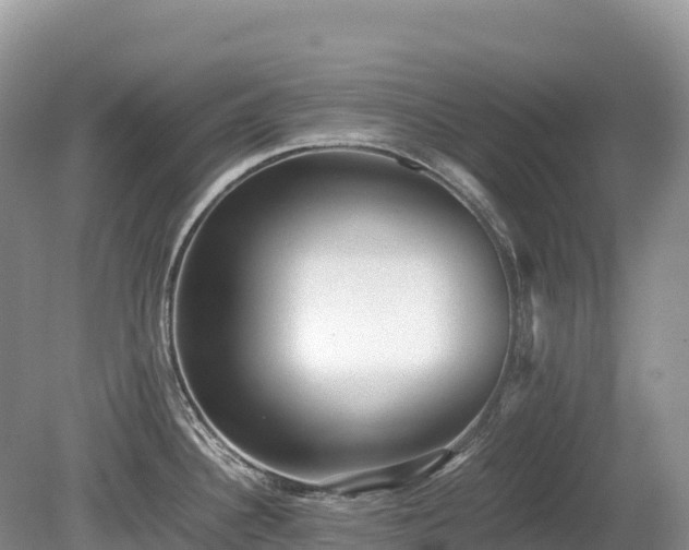 X0000080141340200612081246