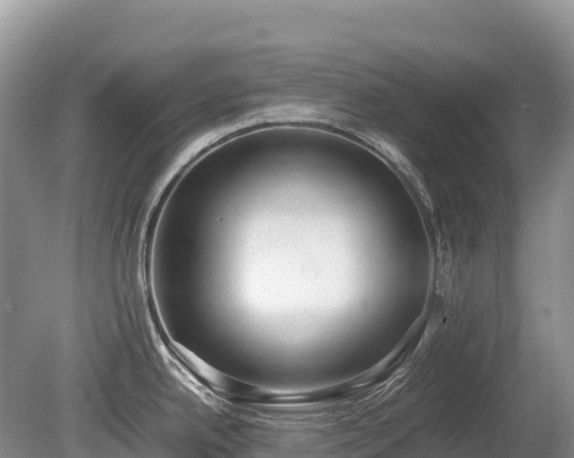 X0000080141342200612081246