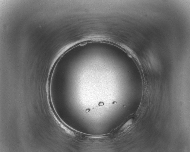 X0000080141343200612081246