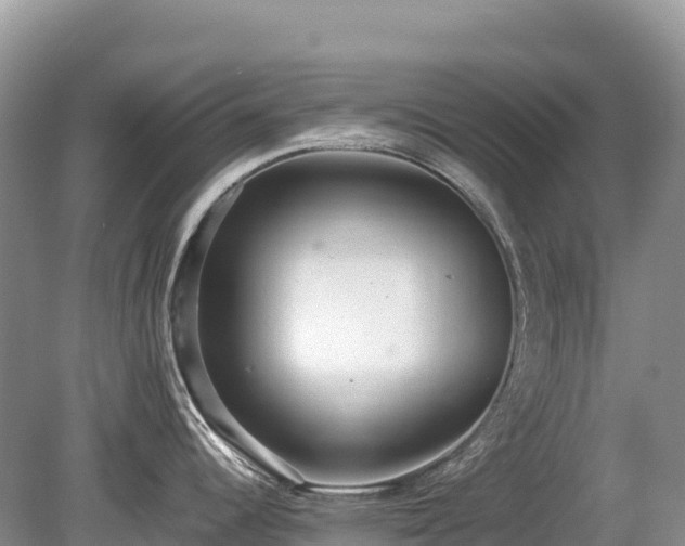 X0000080141344200612081246
