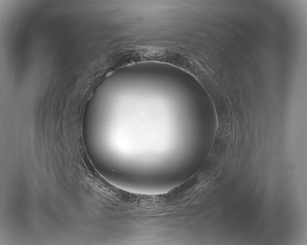 X0000080141345200612081245