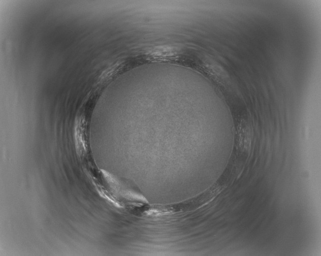 X0000080141346200612081245
