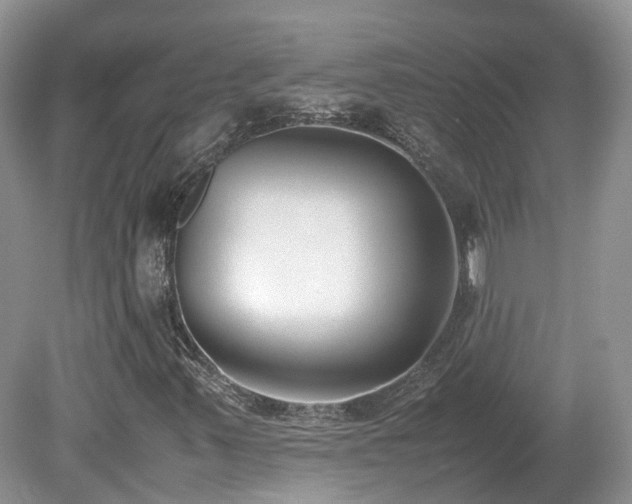 X0000080141347200612081245