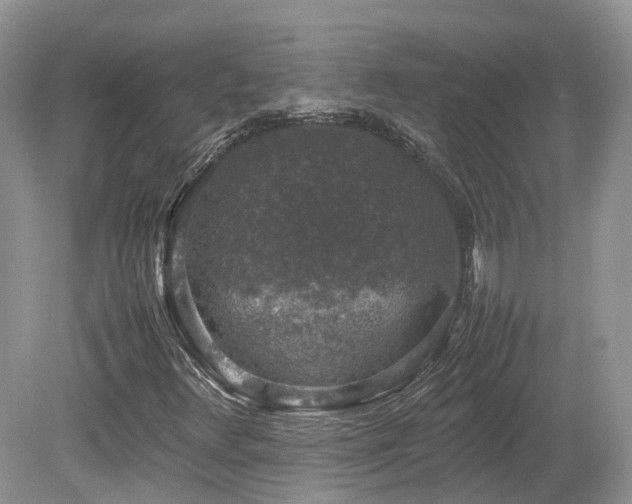 X0000080141348200612081245