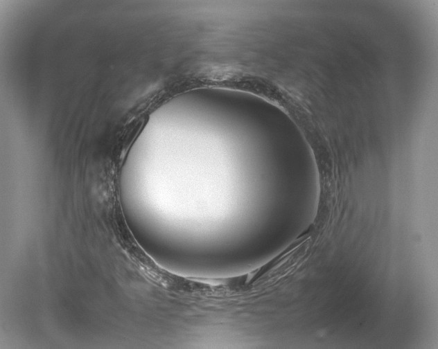 X0000080141349200612081245