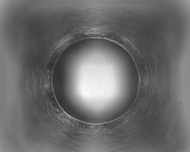 X0000080141350200612081245