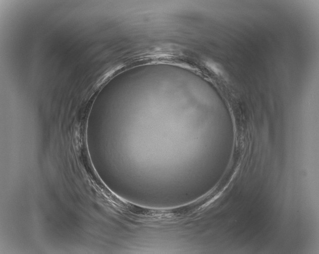 X0000080141353200612081245