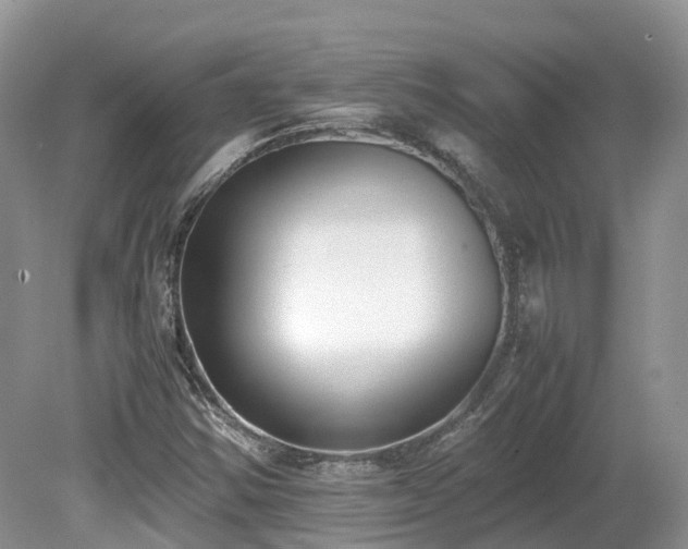 X0000080141354200612081245