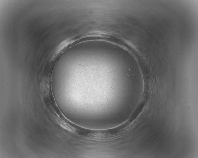 X0000080141355200612081245