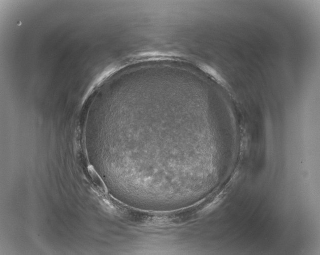 X0000080141357200612081245