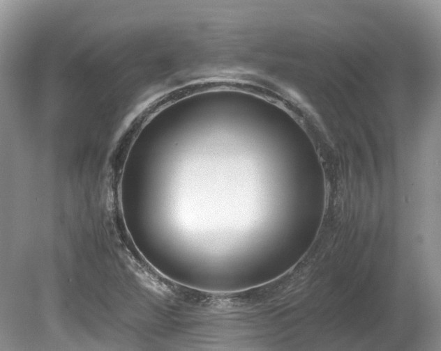 X0000080141360200612081245