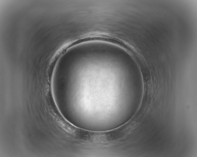 X0000080141363200612081245