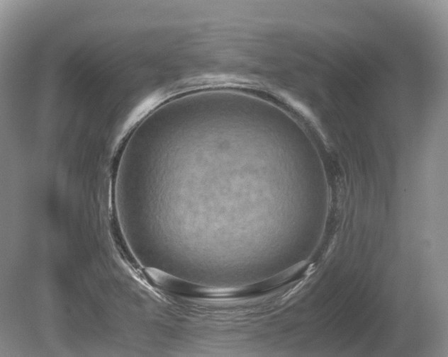 X0000080141365200612081245