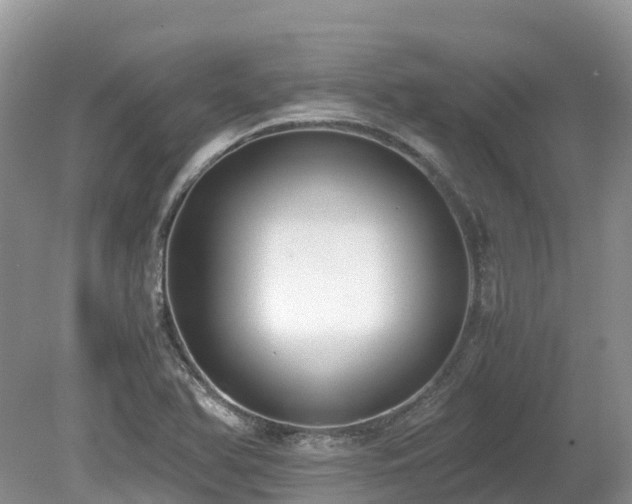 X0000080141366200612081245