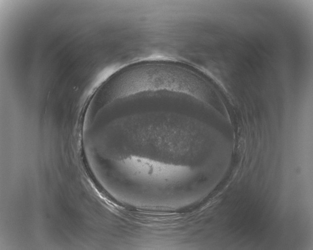 X0000080141367200612081245