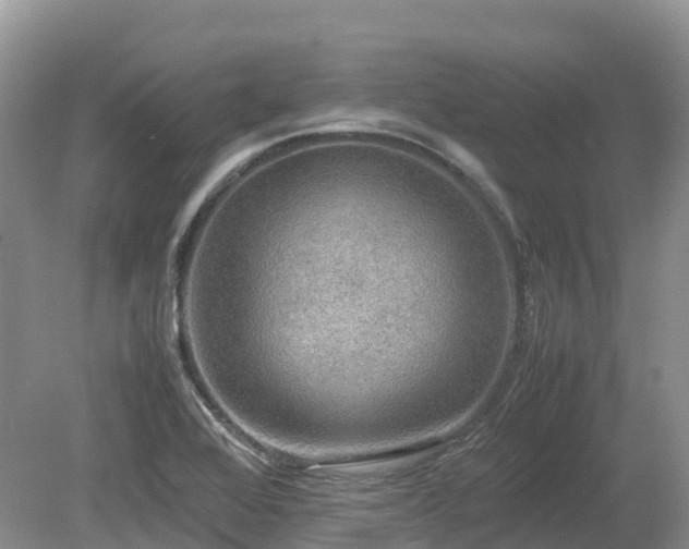 X0000080141368200612081245