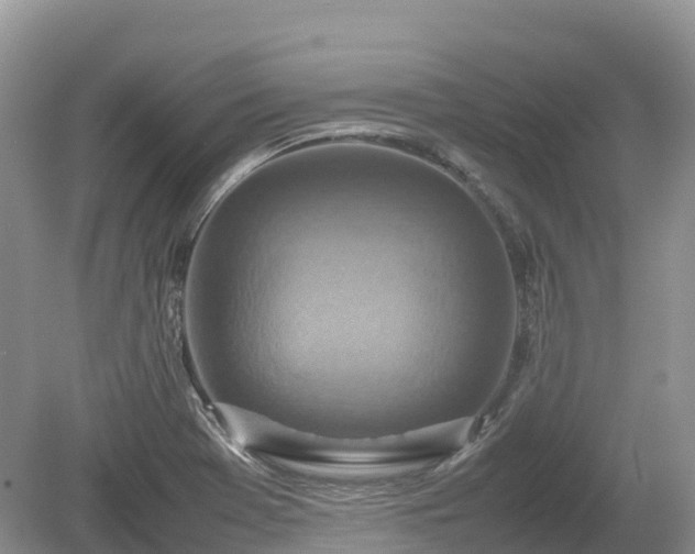 X0000080141369200612081245
