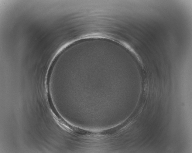 X0000080141372200612081245