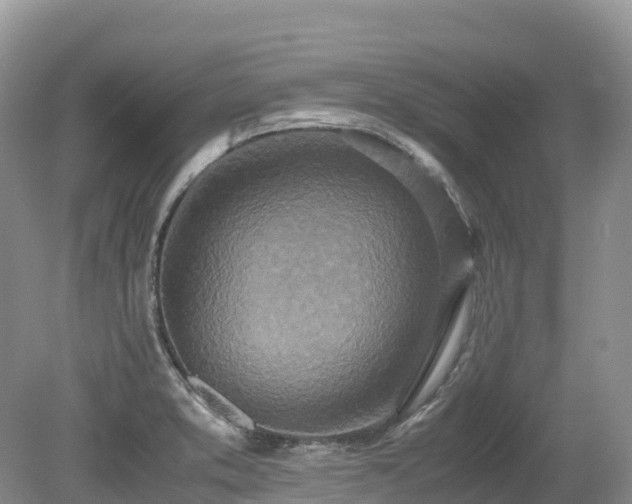 X0000080141373200612081245