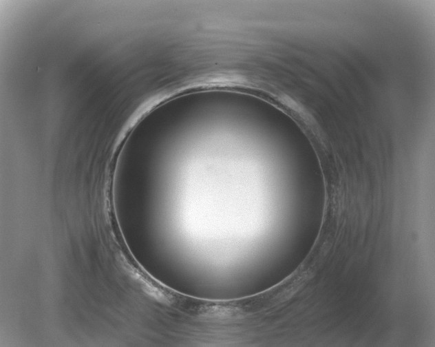 X0000080141374200612081245