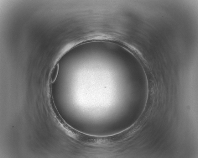 X0000080141375200612081245