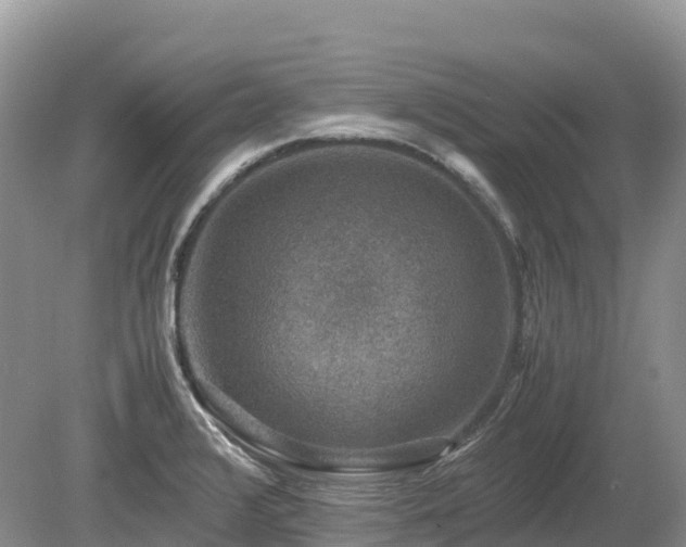 X0000080141376200612081245