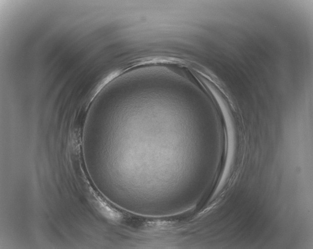 X0000080141377200612081245