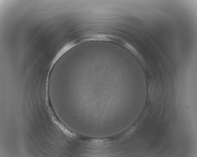 X0000080141378200612081245