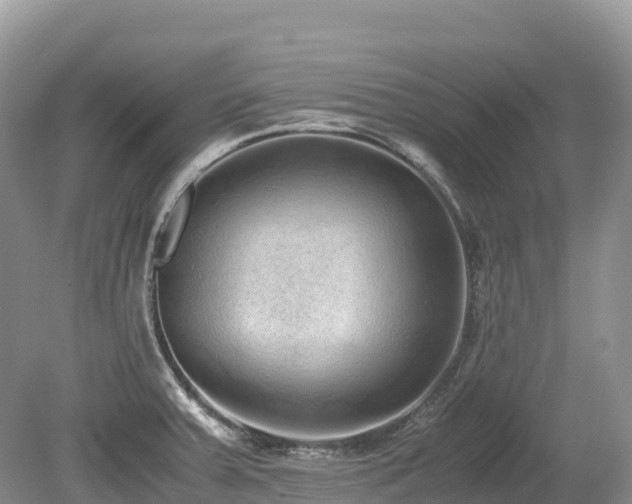 X0000080141379200612081245