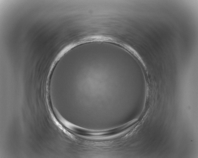 X0000080141381200612081245