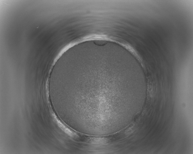 X0000080141382200612081245