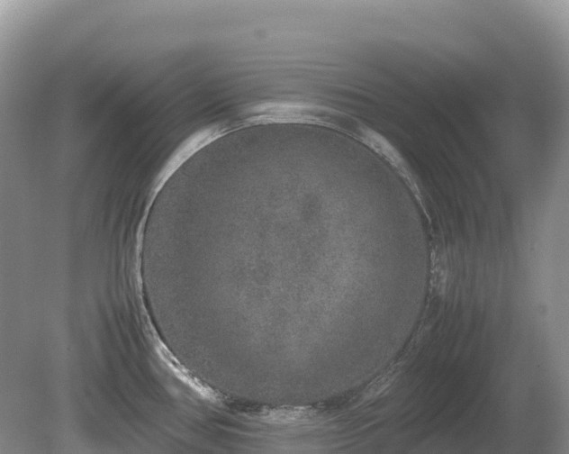 X0000080141386200612081244