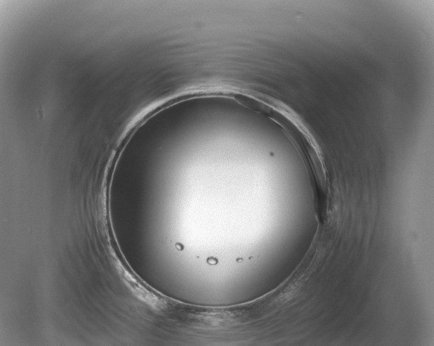 X0000080141388200612081244