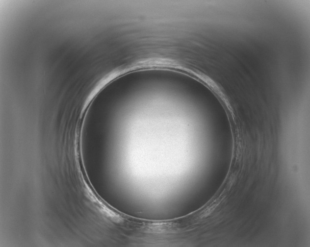 X0000080141390200612081244