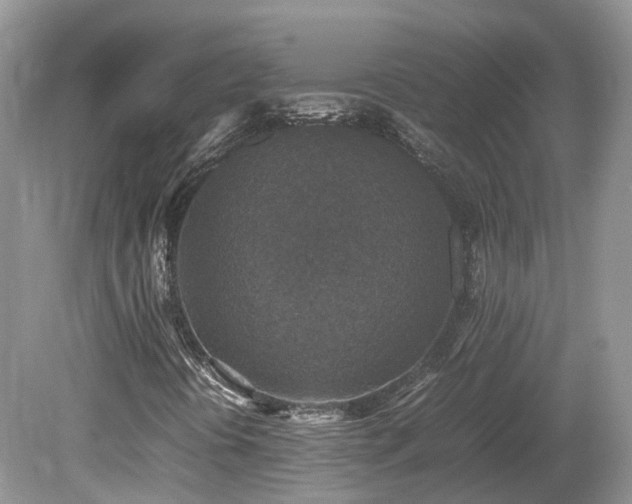 X0000080141394200612081244