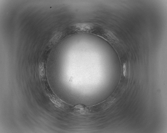 X0000080141395200612081244