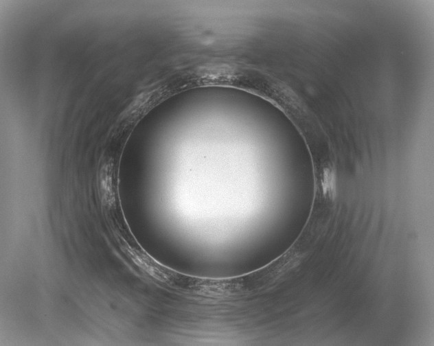 X0000080141396200612081244