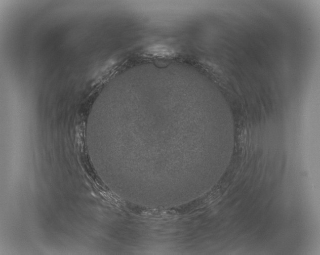 X0000080141397200612081244
