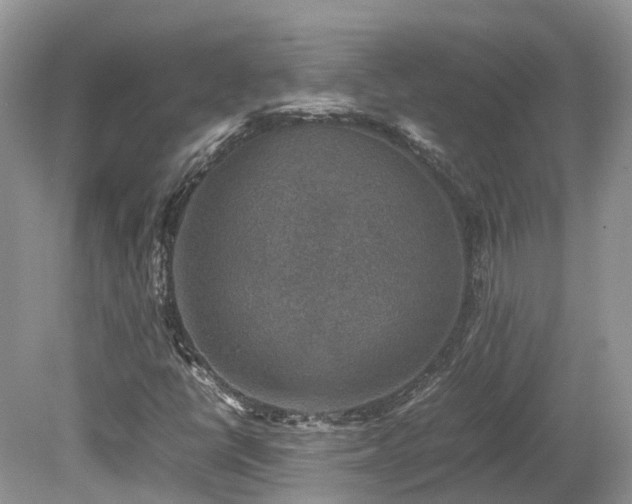 X0000080141398200612081244