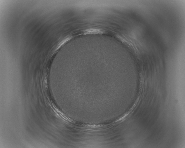 X0000080141401200612081244
