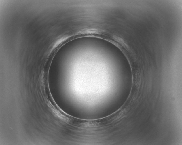 X0000080141404200612081244