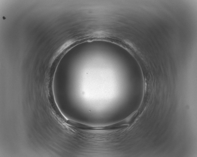 X0000080141410200612081244