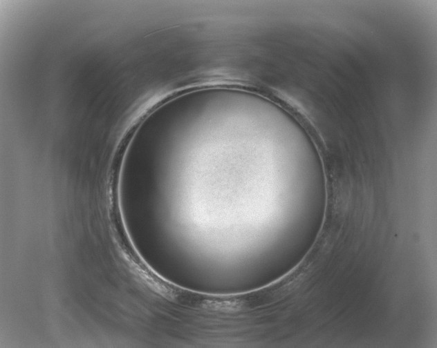 X0000080141415200612081244
