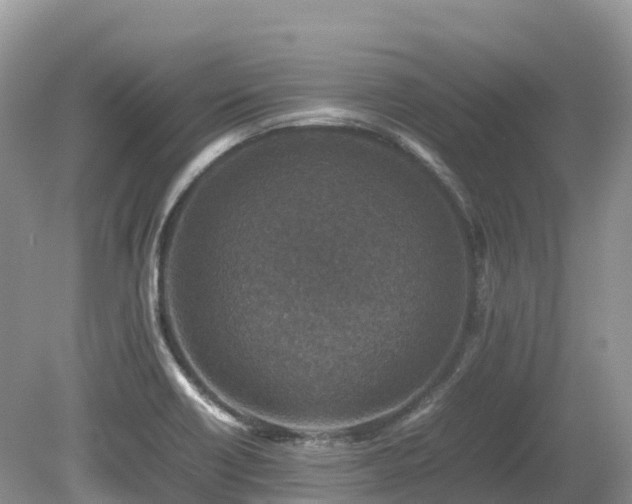 X0000080141418200612081244