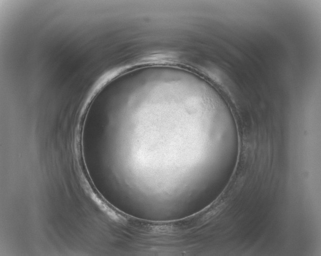 X0000080141421200612081244