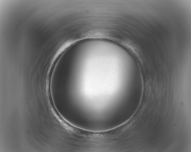 X0000080141424200612081244